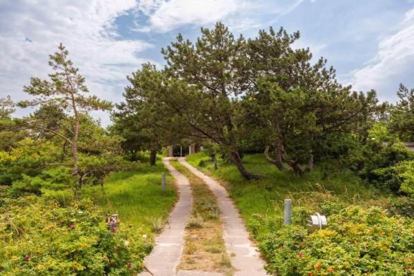 Villa De Rosa Bergen aan Zee Buitenkant foto